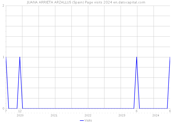JUANA ARRIETA ARZALLUS (Spain) Page visits 2024 