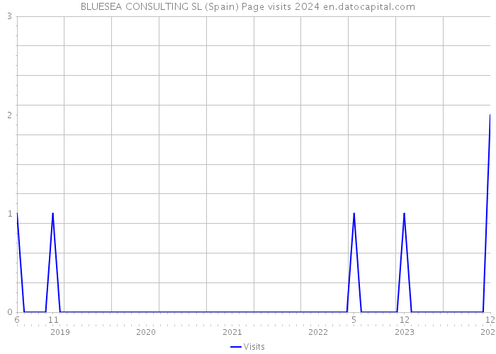 BLUESEA CONSULTING SL (Spain) Page visits 2024 