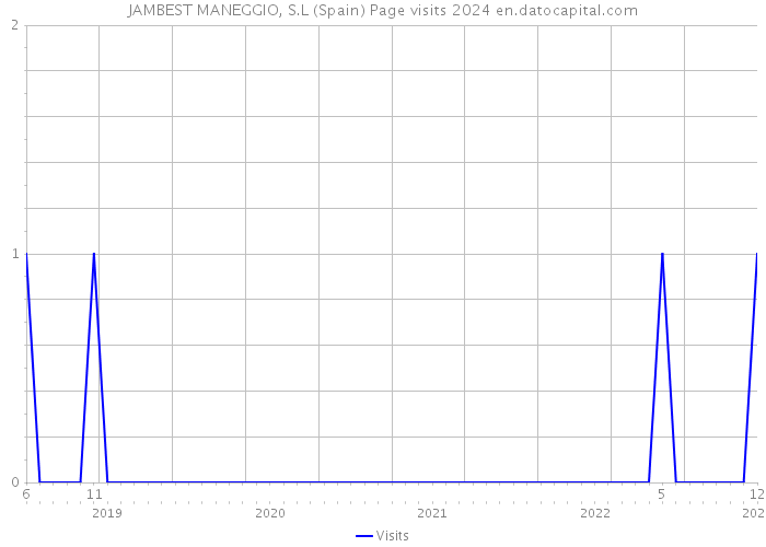 JAMBEST MANEGGIO, S.L (Spain) Page visits 2024 