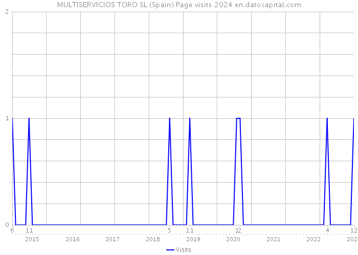 MULTISERVICIOS TORO SL (Spain) Page visits 2024 