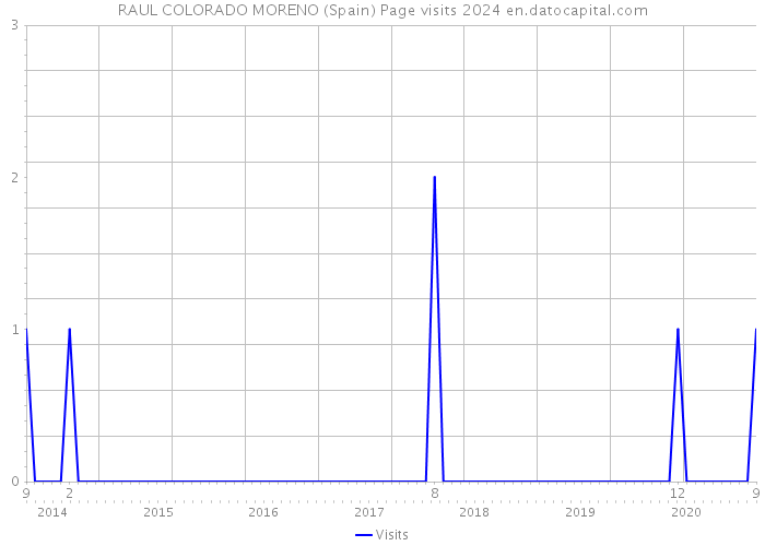 RAUL COLORADO MORENO (Spain) Page visits 2024 
