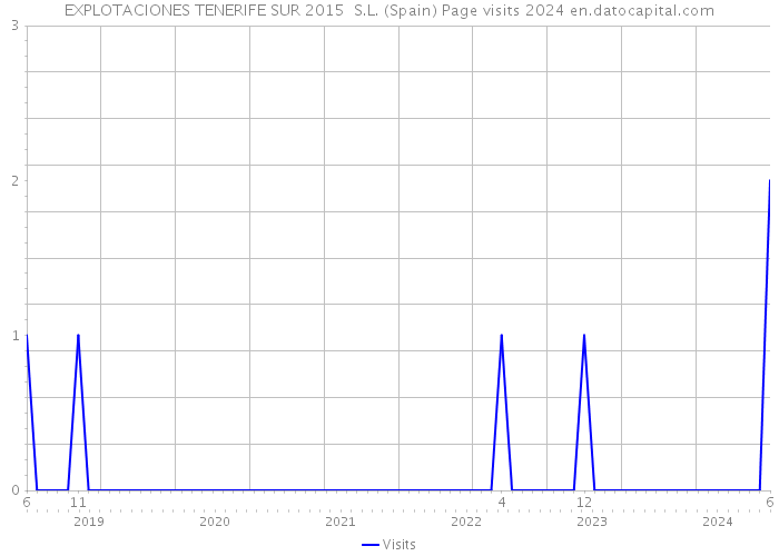 EXPLOTACIONES TENERIFE SUR 2015 S.L. (Spain) Page visits 2024 