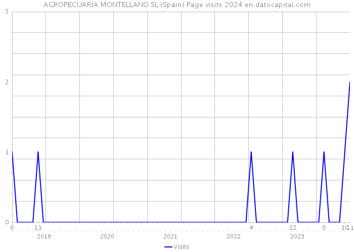 AGROPECUARIA MONTELLANO SL (Spain) Page visits 2024 
