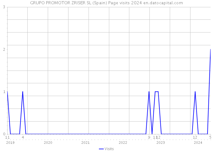 GRUPO PROMOTOR ZRISER SL (Spain) Page visits 2024 