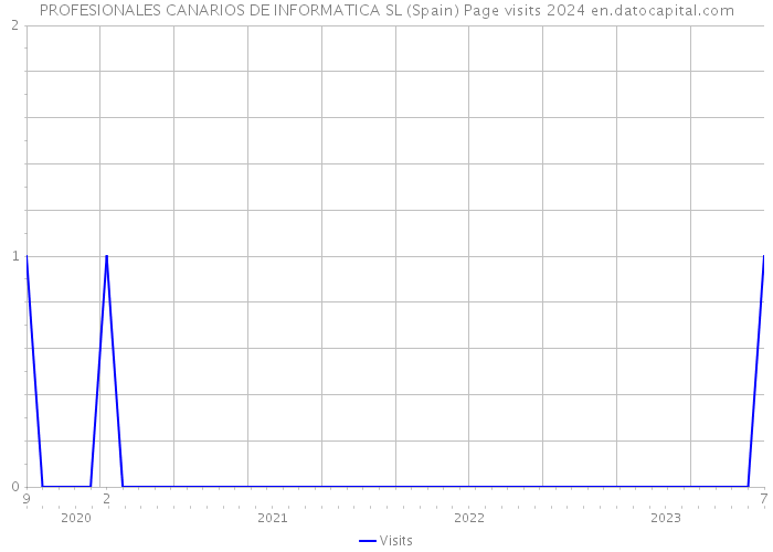PROFESIONALES CANARIOS DE INFORMATICA SL (Spain) Page visits 2024 