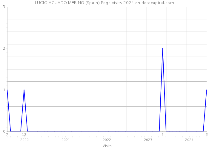 LUCIO AGUADO MERINO (Spain) Page visits 2024 