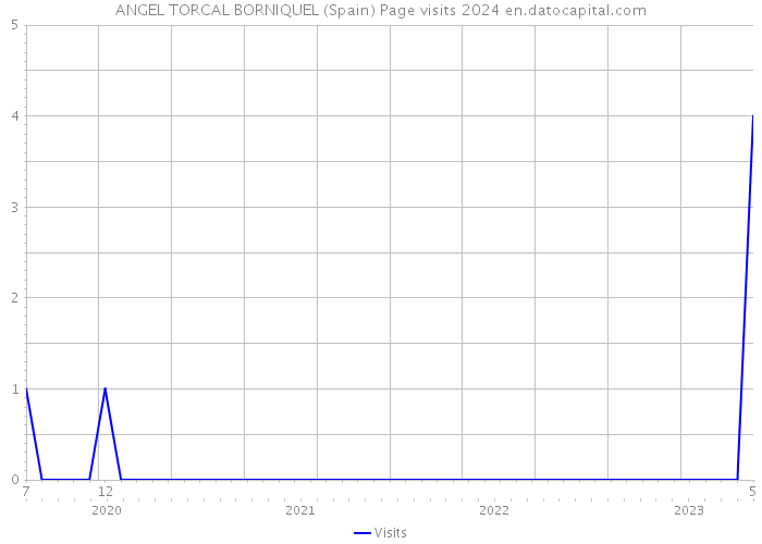 ANGEL TORCAL BORNIQUEL (Spain) Page visits 2024 