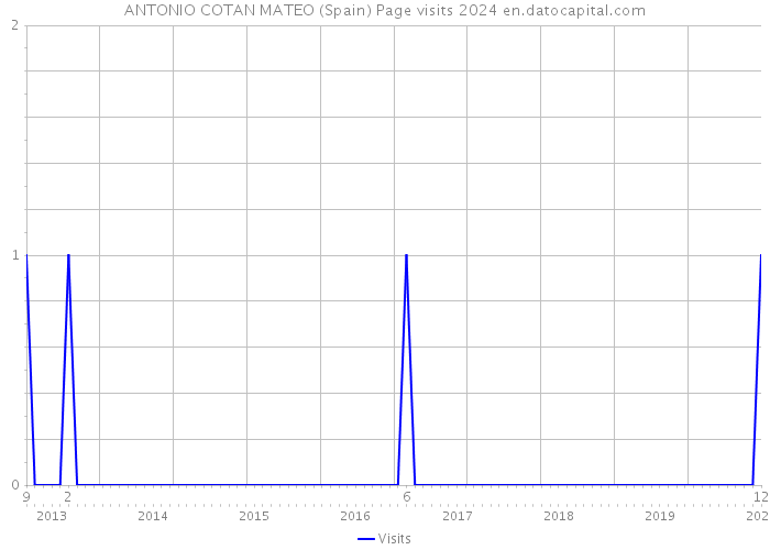 ANTONIO COTAN MATEO (Spain) Page visits 2024 