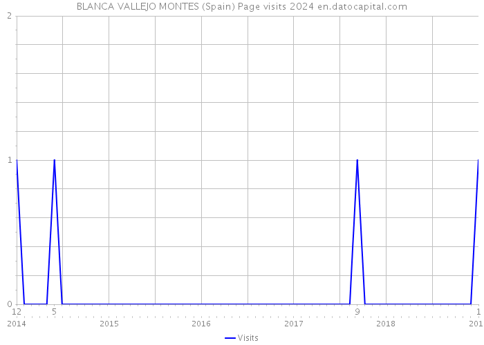 BLANCA VALLEJO MONTES (Spain) Page visits 2024 