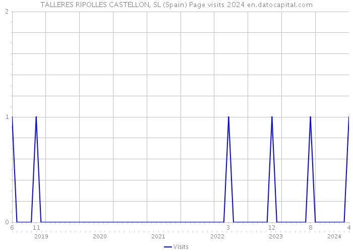 TALLERES RIPOLLES CASTELLON, SL (Spain) Page visits 2024 