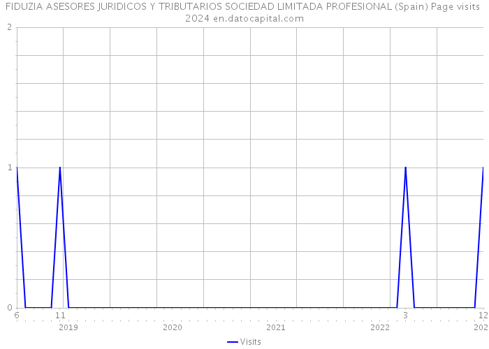 FIDUZIA ASESORES JURIDICOS Y TRIBUTARIOS SOCIEDAD LIMITADA PROFESIONAL (Spain) Page visits 2024 