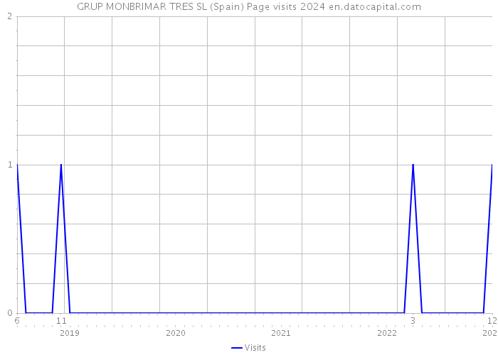 GRUP MONBRIMAR TRES SL (Spain) Page visits 2024 