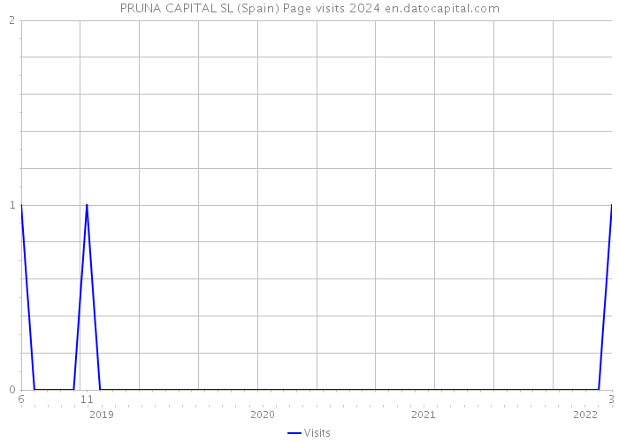 PRUNA CAPITAL SL (Spain) Page visits 2024 