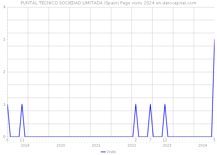 PUNTAL TECNICO SOCIEDAD LIMITADA (Spain) Page visits 2024 