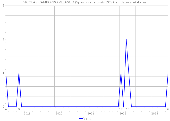 NICOLAS CAMPORRO VELASCO (Spain) Page visits 2024 