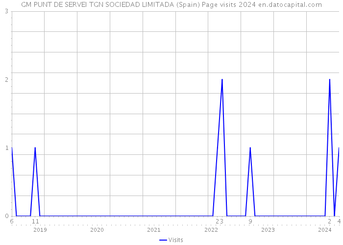 GM PUNT DE SERVEI TGN SOCIEDAD LIMITADA (Spain) Page visits 2024 