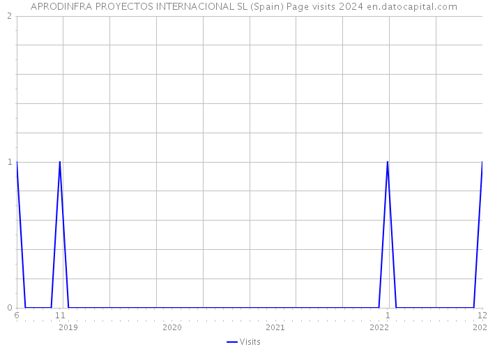 APRODINFRA PROYECTOS INTERNACIONAL SL (Spain) Page visits 2024 