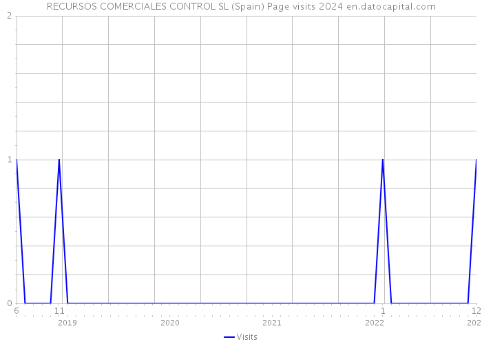 RECURSOS COMERCIALES CONTROL SL (Spain) Page visits 2024 