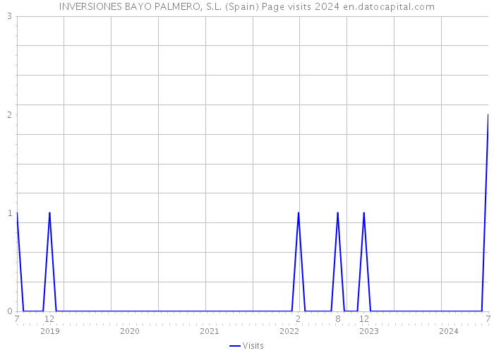 INVERSIONES BAYO PALMERO, S.L. (Spain) Page visits 2024 