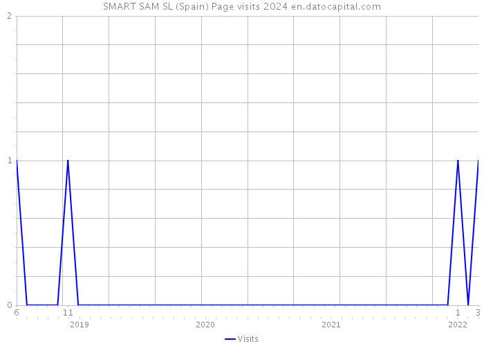 SMART SAM SL (Spain) Page visits 2024 
