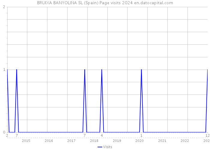 BRUIXA BANYOLINA SL (Spain) Page visits 2024 