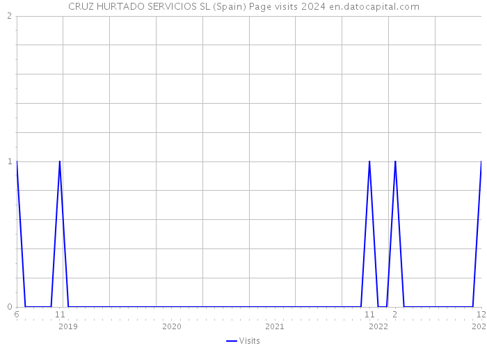 CRUZ HURTADO SERVICIOS SL (Spain) Page visits 2024 