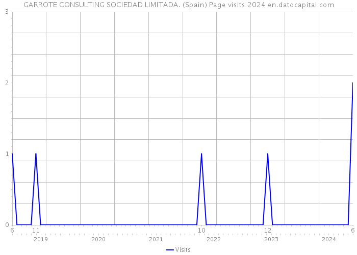 GARROTE CONSULTING SOCIEDAD LIMITADA. (Spain) Page visits 2024 