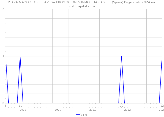 PLAZA MAYOR TORRELAVEGA PROMOCIONES INMOBILIARIAS S.L. (Spain) Page visits 2024 