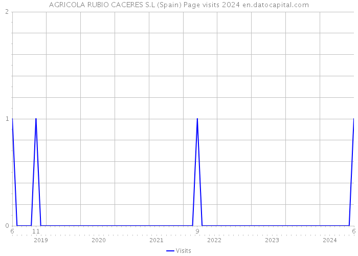 AGRICOLA RUBIO CACERES S.L (Spain) Page visits 2024 