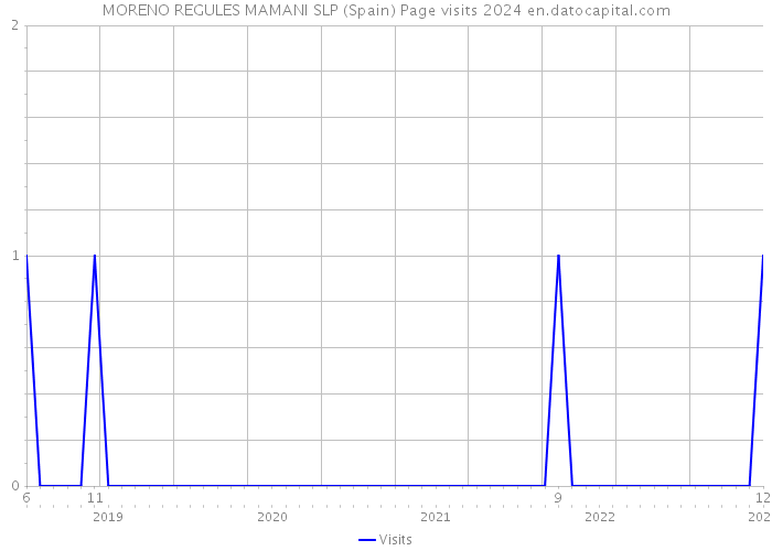 MORENO REGULES MAMANI SLP (Spain) Page visits 2024 