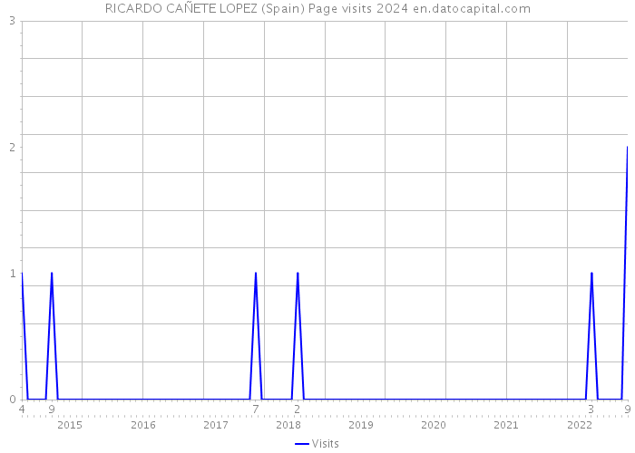 RICARDO CAÑETE LOPEZ (Spain) Page visits 2024 