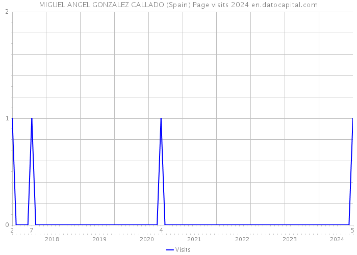 MIGUEL ANGEL GONZALEZ CALLADO (Spain) Page visits 2024 