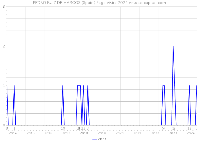 PEDRO RUIZ DE MARCOS (Spain) Page visits 2024 