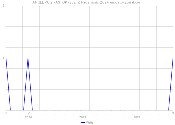 ANGEL RUIZ PASTOR (Spain) Page visits 2024 