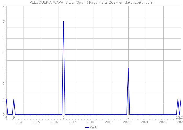 PELUQUERIA WAPA, S.L.L. (Spain) Page visits 2024 