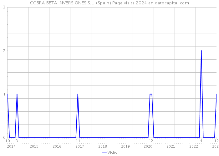 COBRA BETA INVERSIONES S.L. (Spain) Page visits 2024 