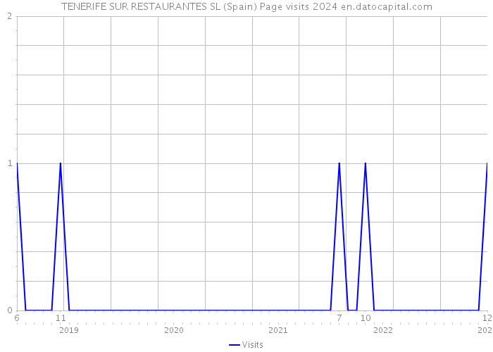 TENERIFE SUR RESTAURANTES SL (Spain) Page visits 2024 