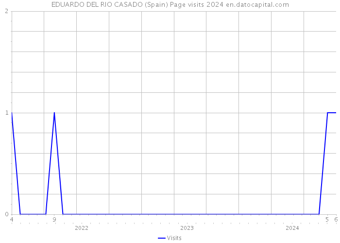 EDUARDO DEL RIO CASADO (Spain) Page visits 2024 