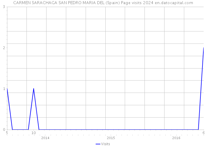 CARMEN SARACHAGA SAN PEDRO MARIA DEL (Spain) Page visits 2024 