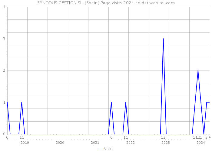 SYNODUS GESTION SL. (Spain) Page visits 2024 