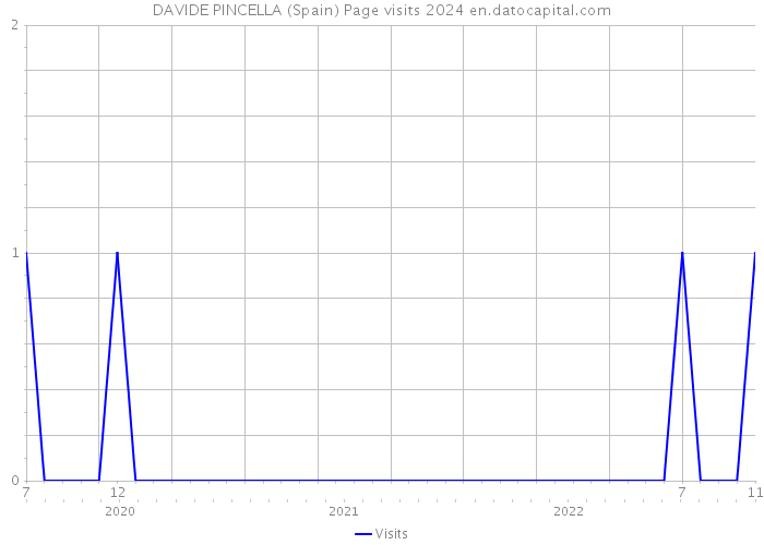 DAVIDE PINCELLA (Spain) Page visits 2024 