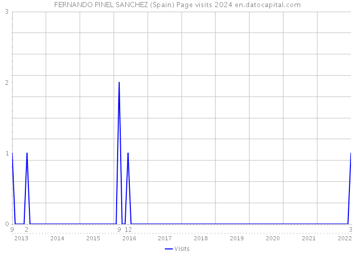 FERNANDO PINEL SANCHEZ (Spain) Page visits 2024 