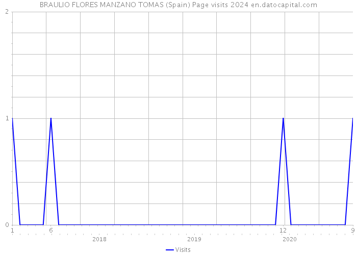 BRAULIO FLORES MANZANO TOMAS (Spain) Page visits 2024 