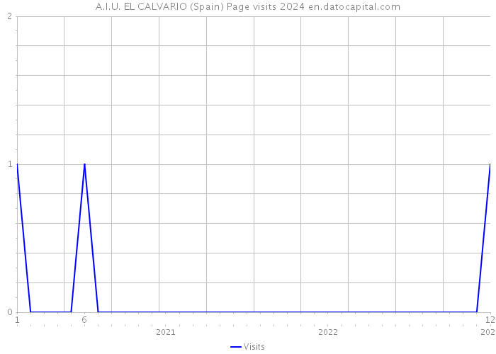 A.I.U. EL CALVARIO (Spain) Page visits 2024 