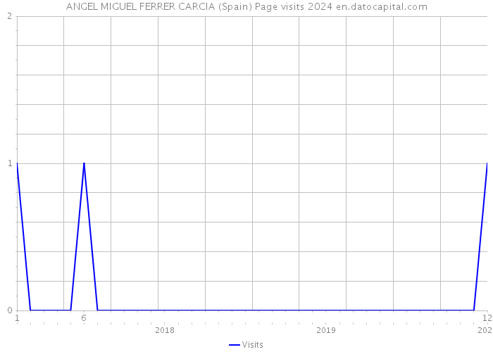 ANGEL MIGUEL FERRER CARCIA (Spain) Page visits 2024 