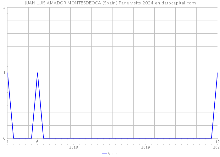 JUAN LUIS AMADOR MONTESDEOCA (Spain) Page visits 2024 