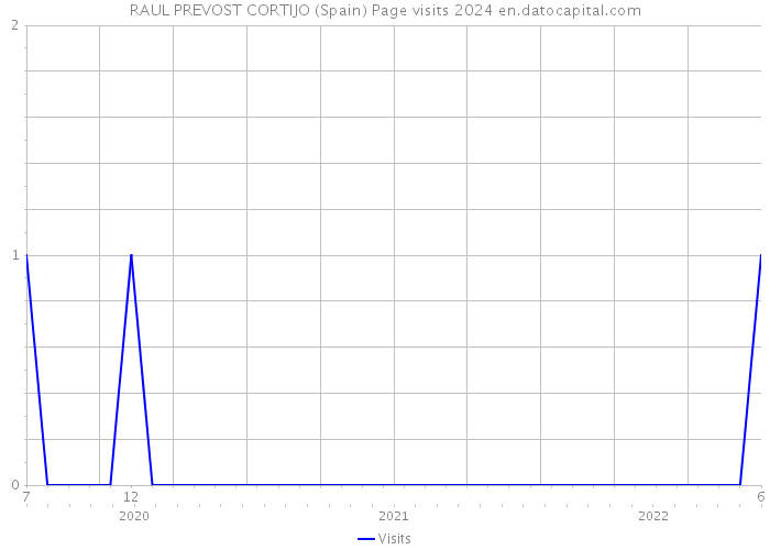 RAUL PREVOST CORTIJO (Spain) Page visits 2024 