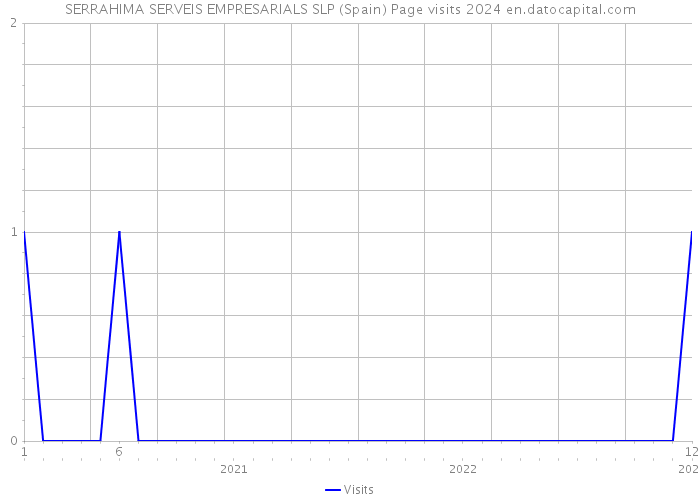 SERRAHIMA SERVEIS EMPRESARIALS SLP (Spain) Page visits 2024 