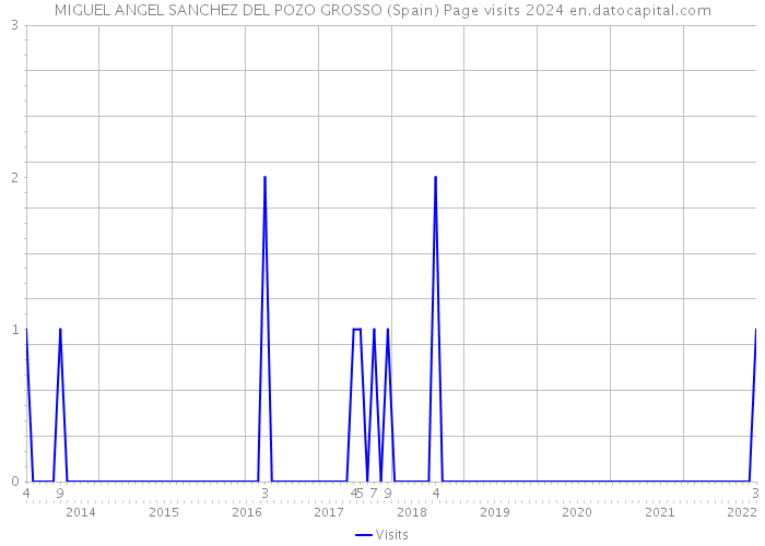 MIGUEL ANGEL SANCHEZ DEL POZO GROSSO (Spain) Page visits 2024 