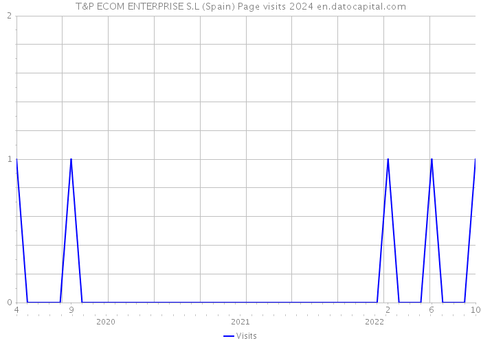 T&P ECOM ENTERPRISE S.L (Spain) Page visits 2024 